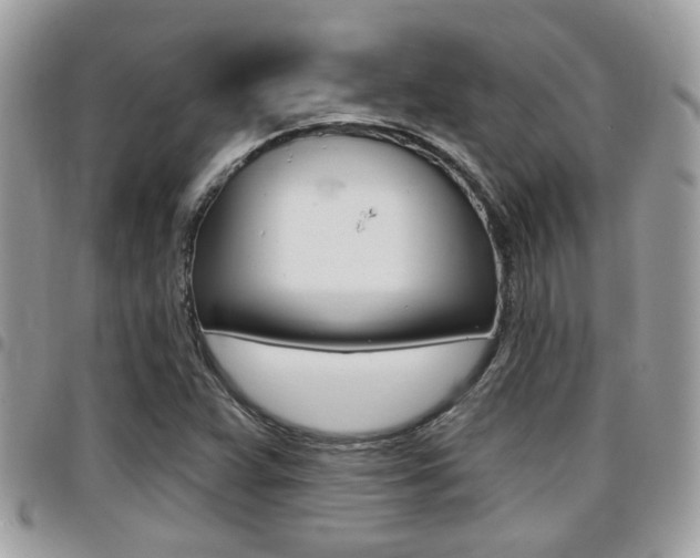 X0000096151359200801180820