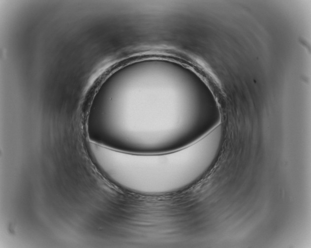 X0000096151360200801180820