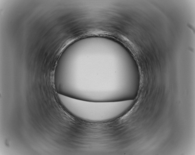 X0000096151361200801180820