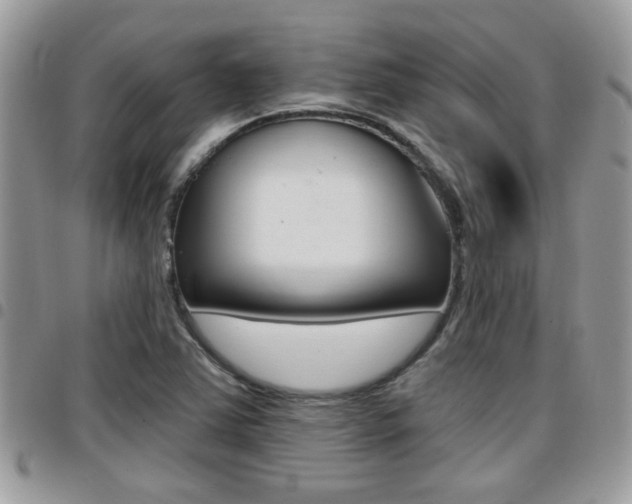 X0000096151363200801180820