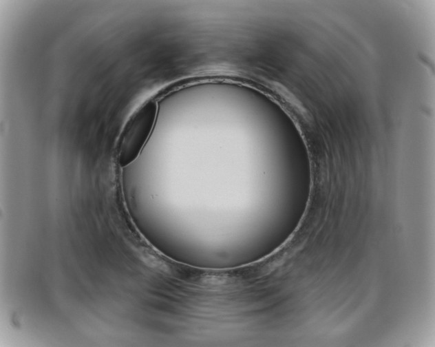 X0000096151364200801180820