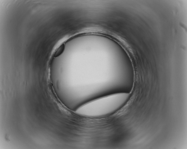 X0000096151366200801180820