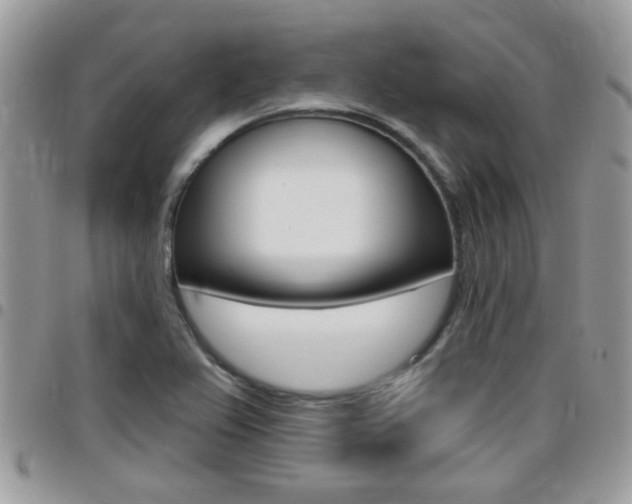 X0000096151367200801180820