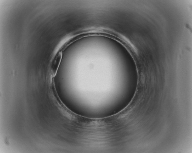 X0000096151368200801180820