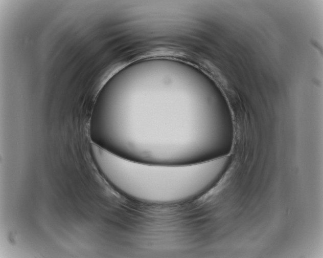 X0000096151369200801180820