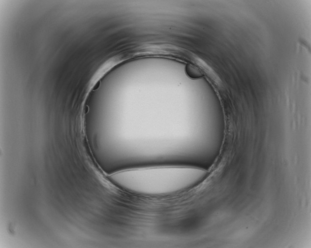 X0000096151370200801180820