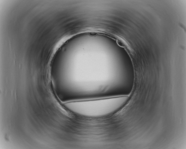 X0000096151371200801180820