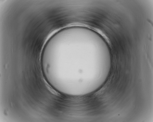 X0000096151372200801180820