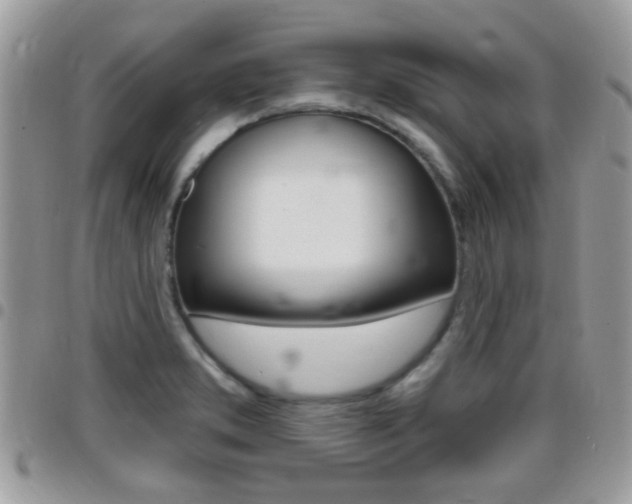 X0000096151373200801180820