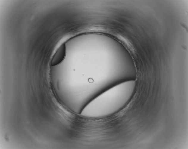 X0000096151374200801180820