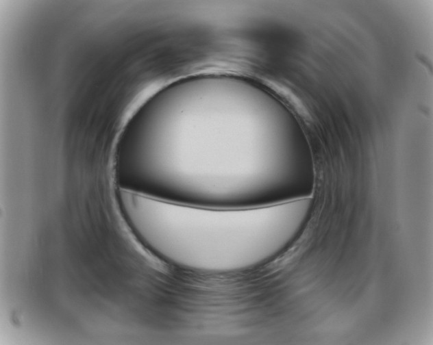 X0000096151375200801180820