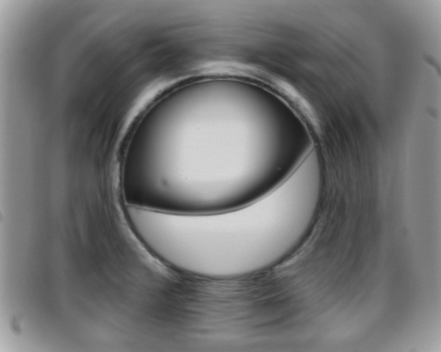 X0000096151376200801180820