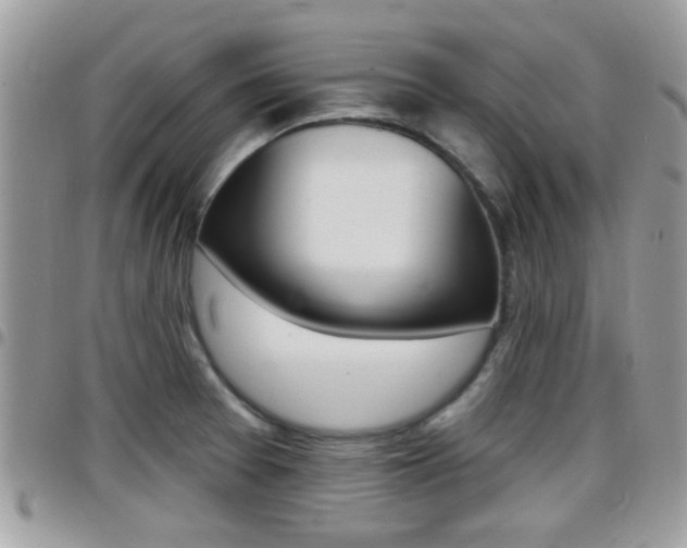 X0000096151377200801180820