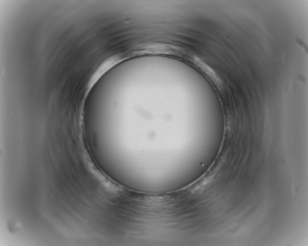 X0000096151378200801180820