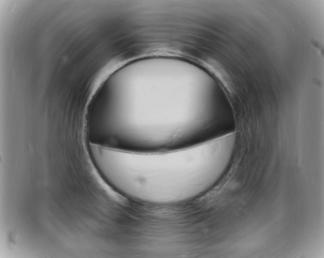 X0000096151379200801180820