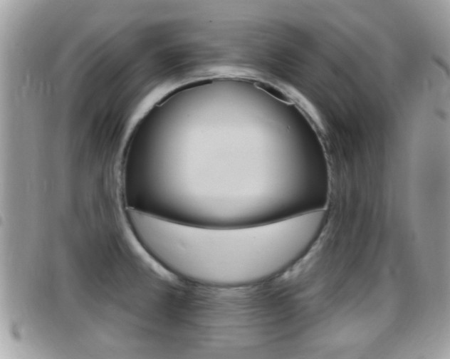 X0000096151381200801180820