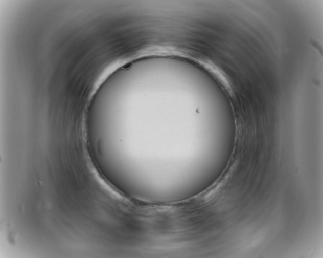 X0000096151382200801180820