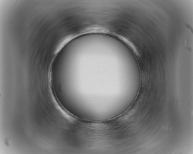 X0000096151383200801180820