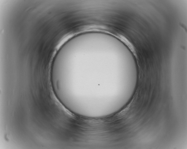 X0000096151384200801180820