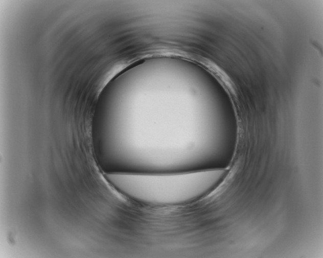 X0000096151385200801180820