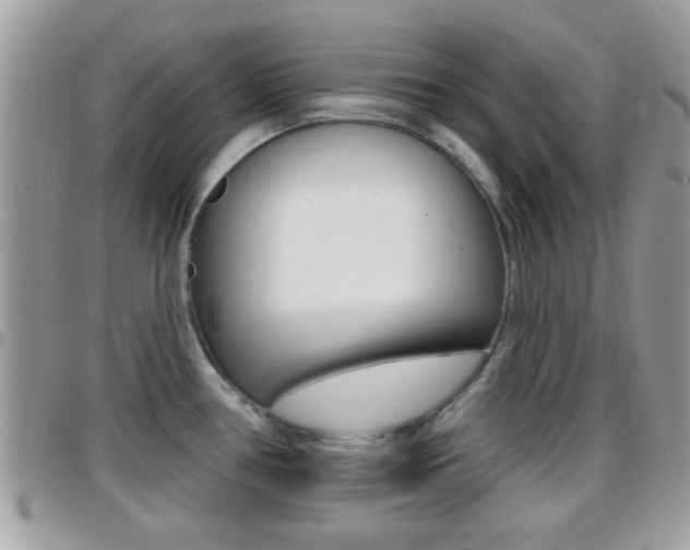 X0000096151386200801180820