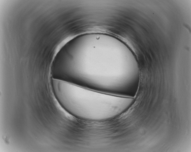 X0000096151387200801180820