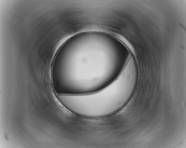 X0000096151388200801180820