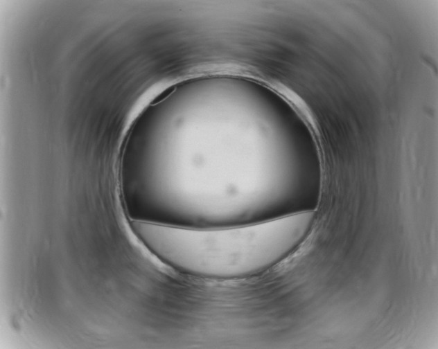 X0000096151389200801180820