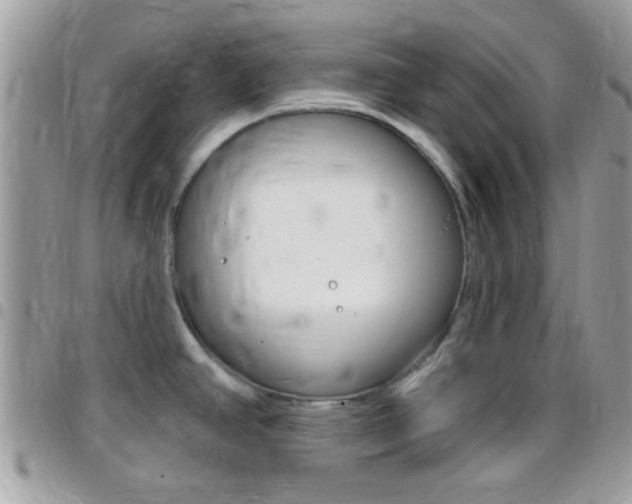 X0000096151390200801180820