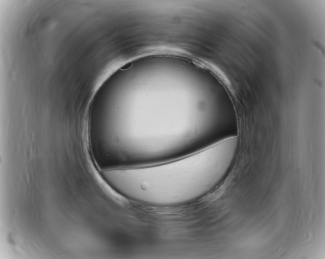 X0000096151391200801180820