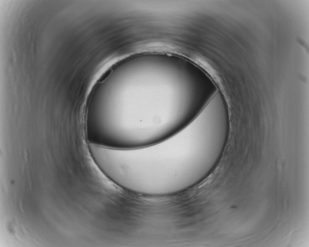 X0000096151392200801180820