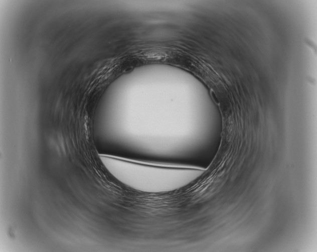 X0000096151394200801180819