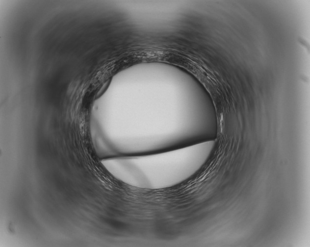 X0000096151395200801180819