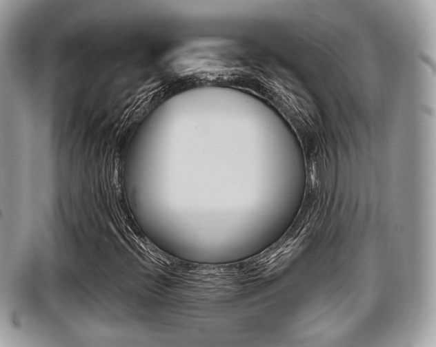 X0000096151396200801180819