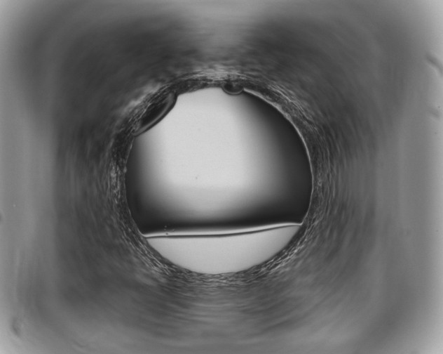 X0000096151398200801180819