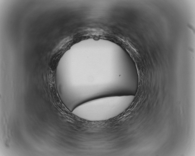 X0000096151399200801180819
