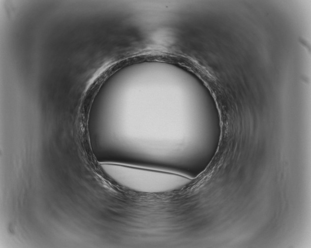 X0000096151400200801180819