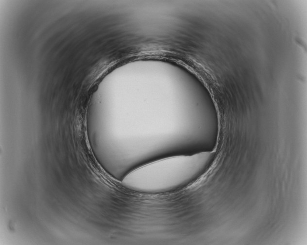 X0000096151401200801180819