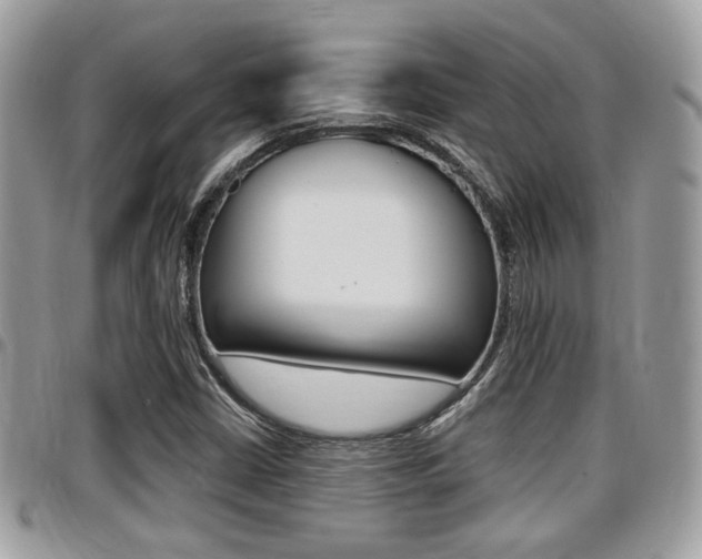 X0000096151402200801180819