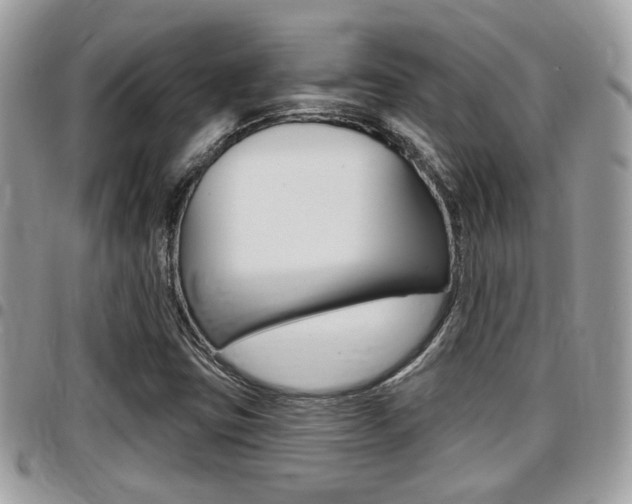 X0000096151403200801180819