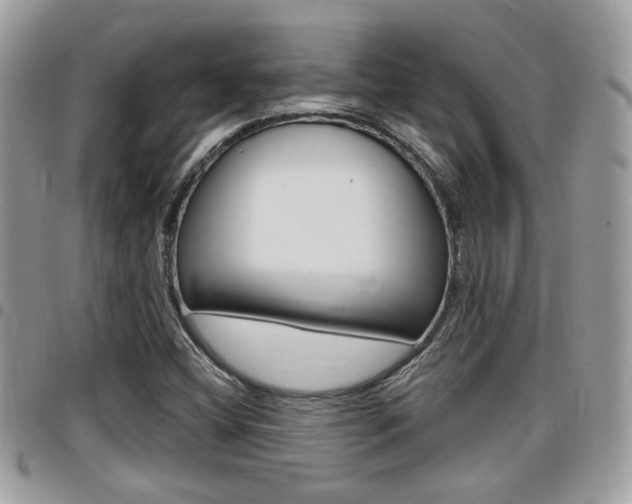 X0000096151404200801180819