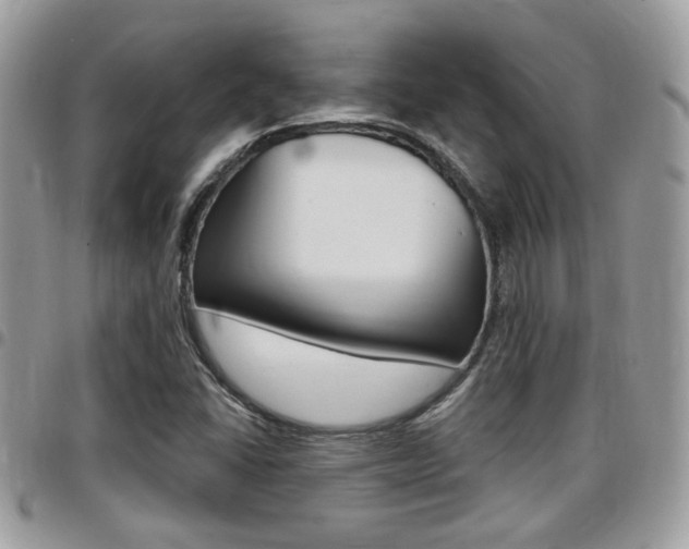 X0000096151406200801180819