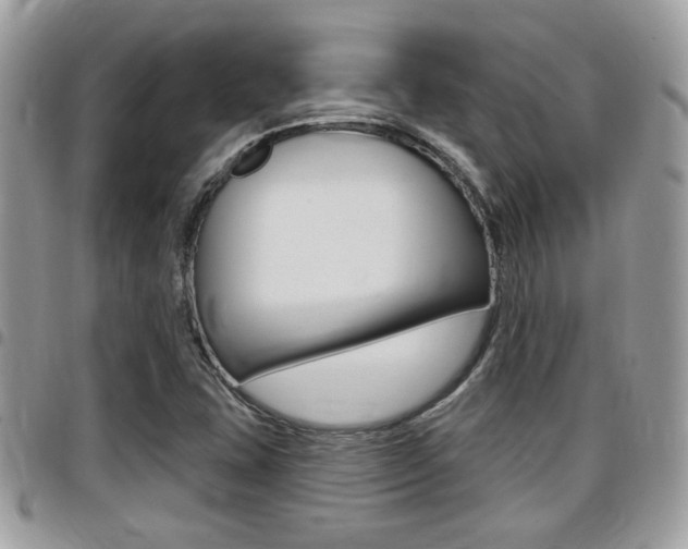 X0000096151407200801180819