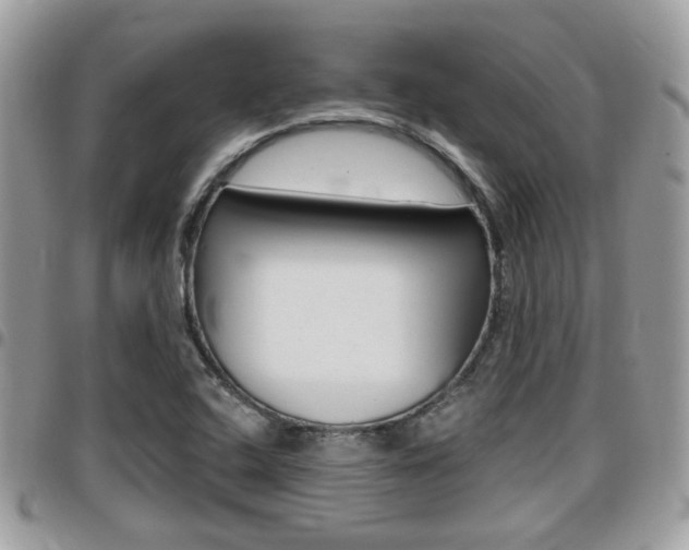X0000096151408200801180819
