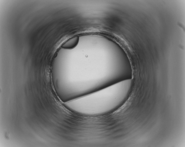 X0000096151409200801180819