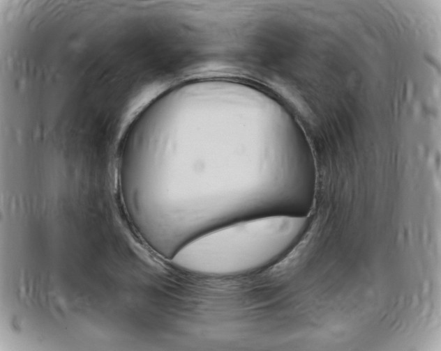 X0000096151413200801180819