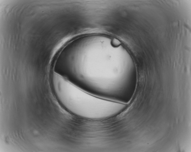X0000096151414200801180819