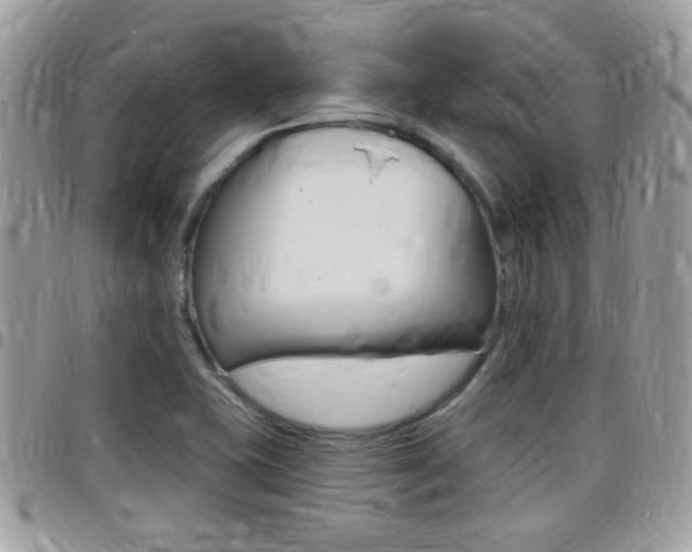 X0000096151415200801180819