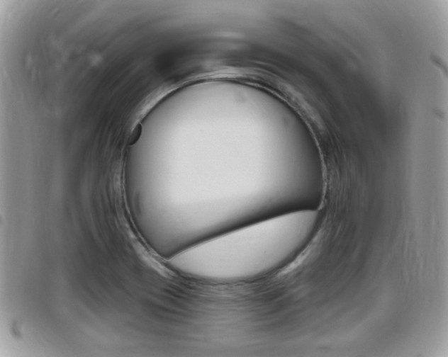 X0000096151417200801180819