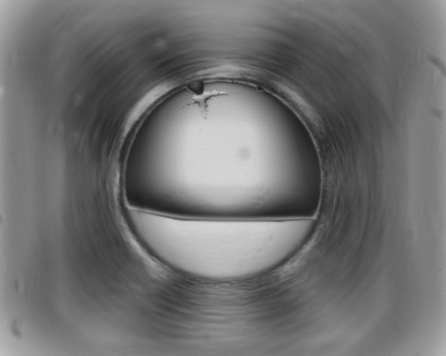 X0000096151418200801180819